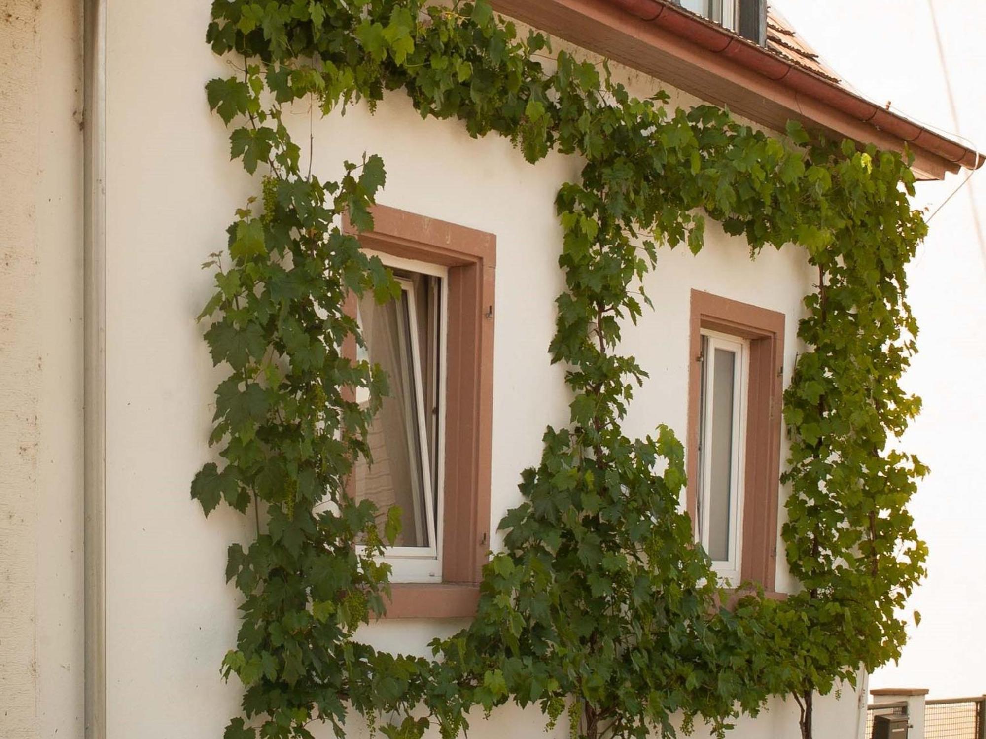 Ferienhaus Am Kuenstleratelier Riegel Luaran gambar